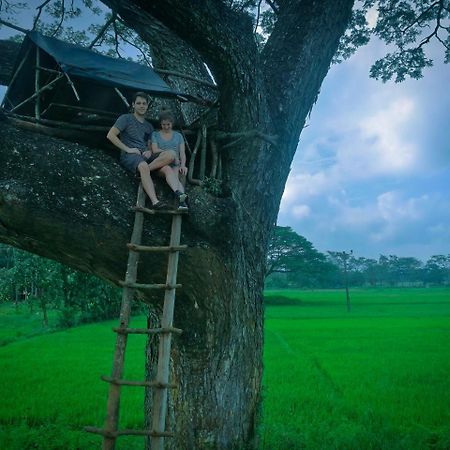 Sigiriya Lahiru Homestay Zewnętrze zdjęcie
