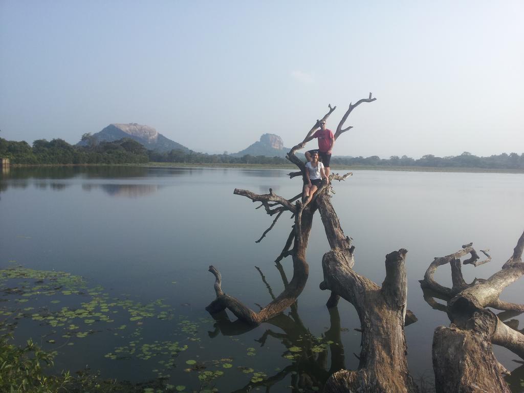 Sigiriya Lahiru Homestay Zewnętrze zdjęcie