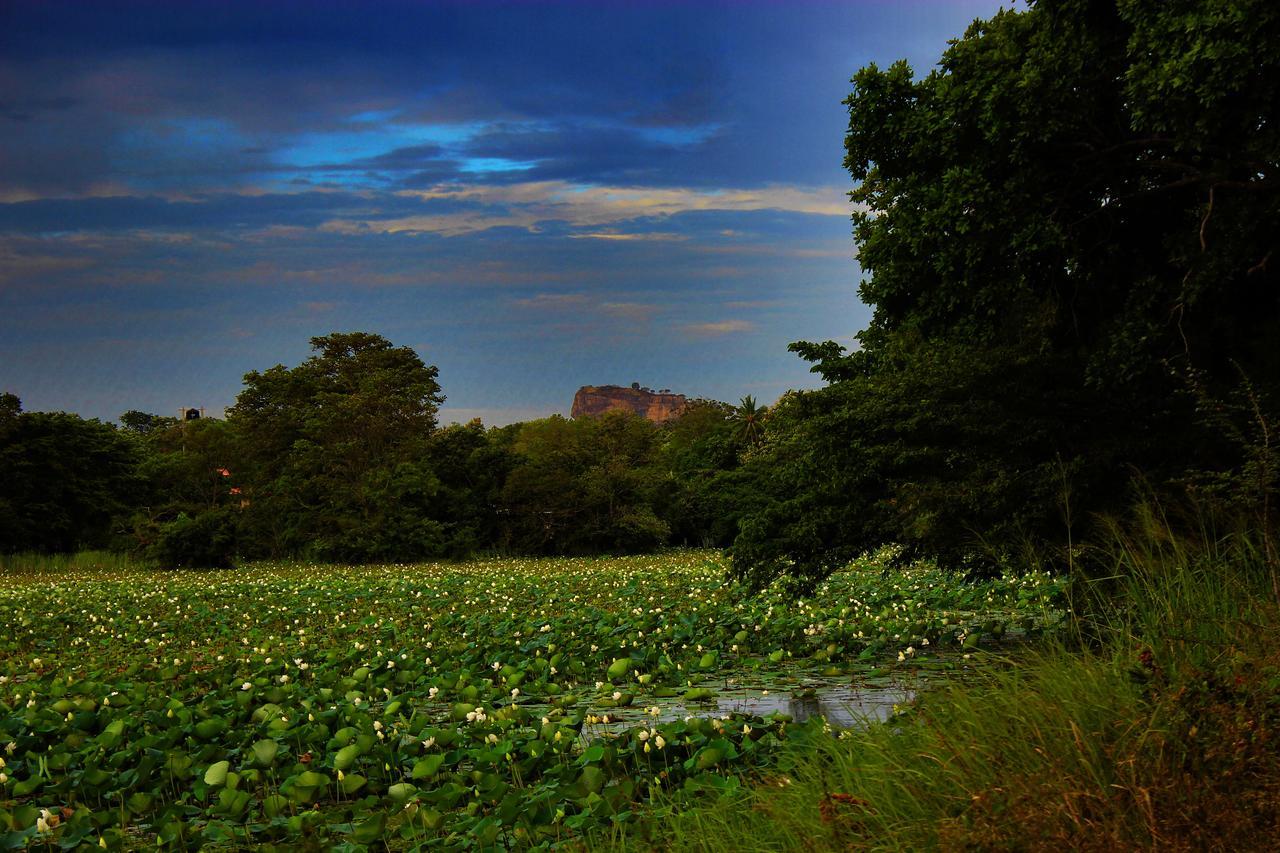 Sigiriya Lahiru Homestay Zewnętrze zdjęcie