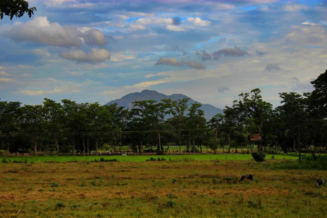 Sigiriya Lahiru Homestay Zewnętrze zdjęcie