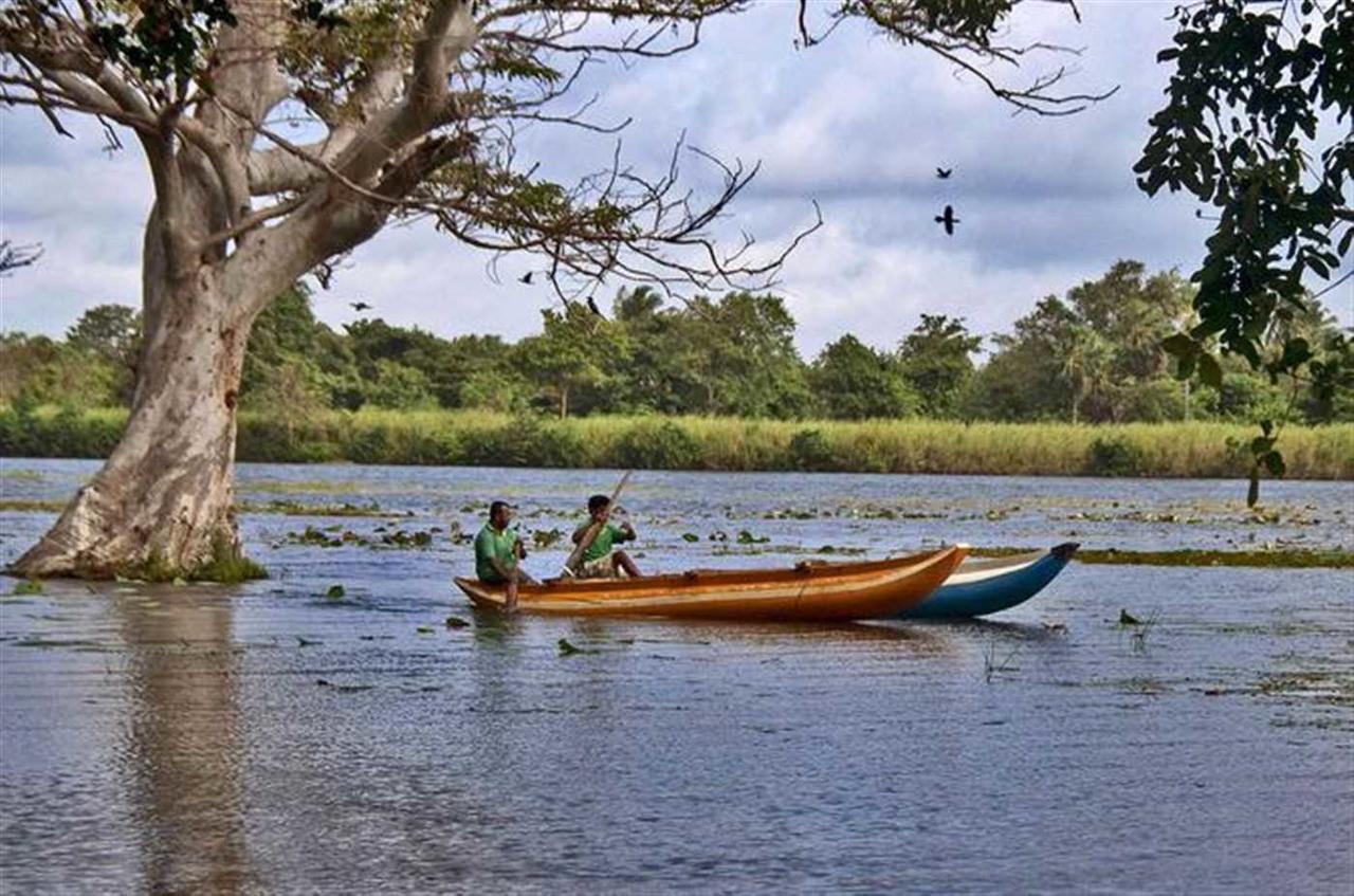 Sigiriya Lahiru Homestay Zewnętrze zdjęcie