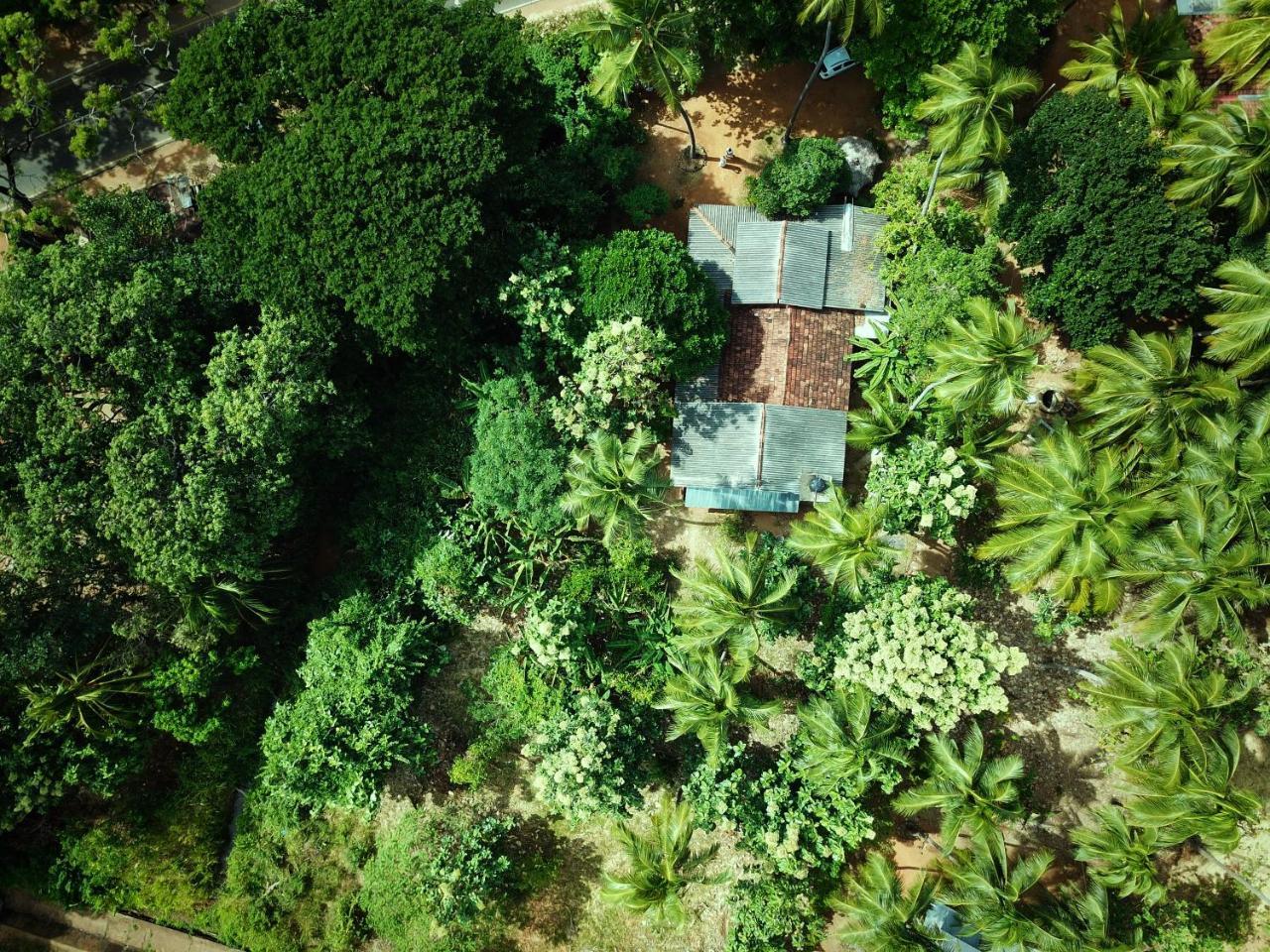 Sigiriya Lahiru Homestay Zewnętrze zdjęcie