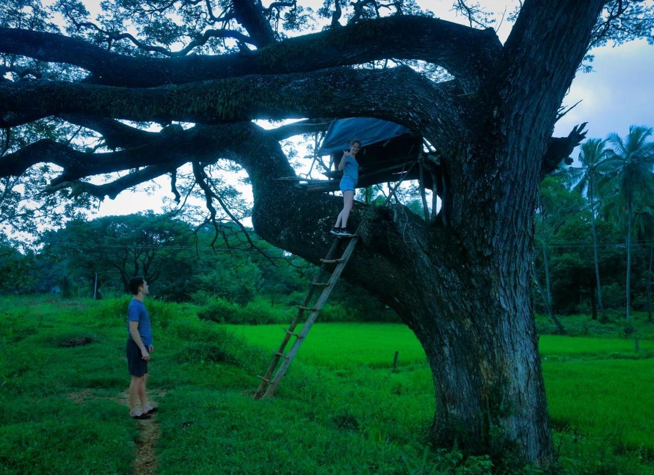Sigiriya Lahiru Homestay Zewnętrze zdjęcie